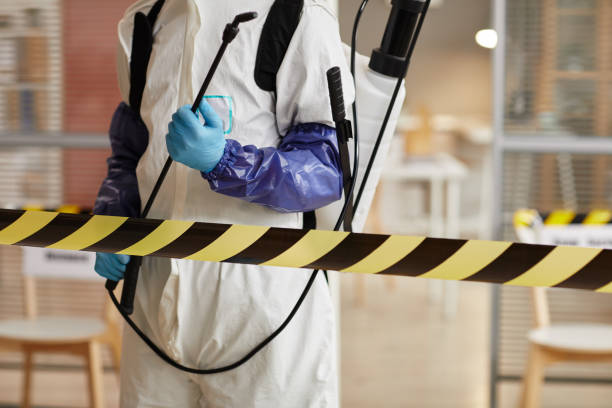 Professional Sewage Cleanup technician working in Clifton, IL